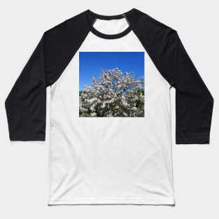 White apple blossom, blue sky Baseball T-Shirt